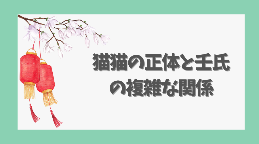 猫猫の正体と壬氏との複雑な関係
