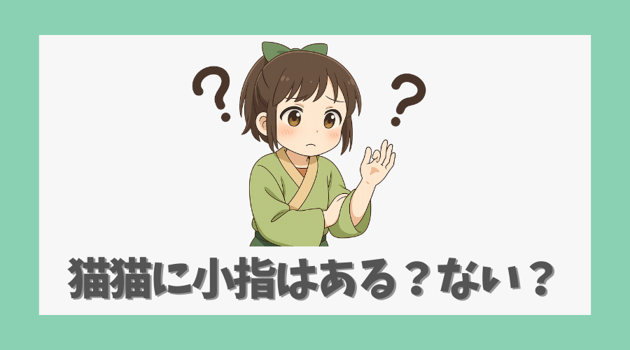 猫猫に小指はある?ない?視聴者の素朴な疑問